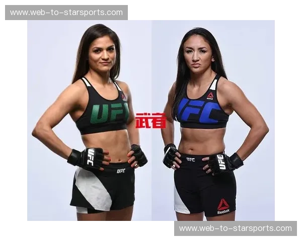 宿命对决：康迪特与迪亚兹，MMA历史长河中的传奇碰撞